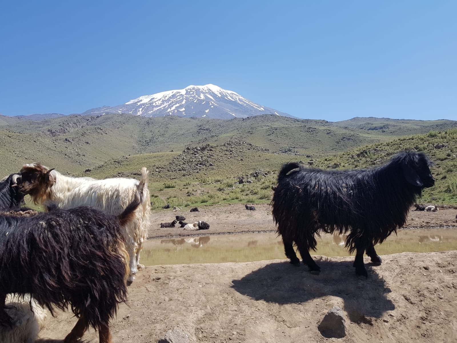 ararat Mt Ararat 20